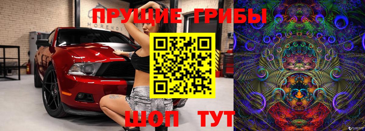 Галлюциногенные грибы Cubensis Саратов