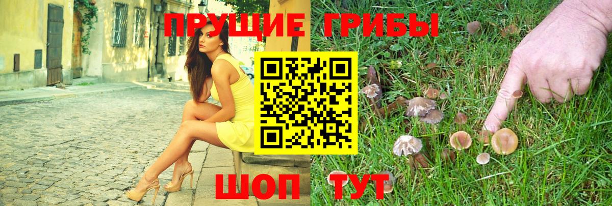 Галлюциногенные грибы GOLDEN TEACHER  Вход с VPN  Саратов 